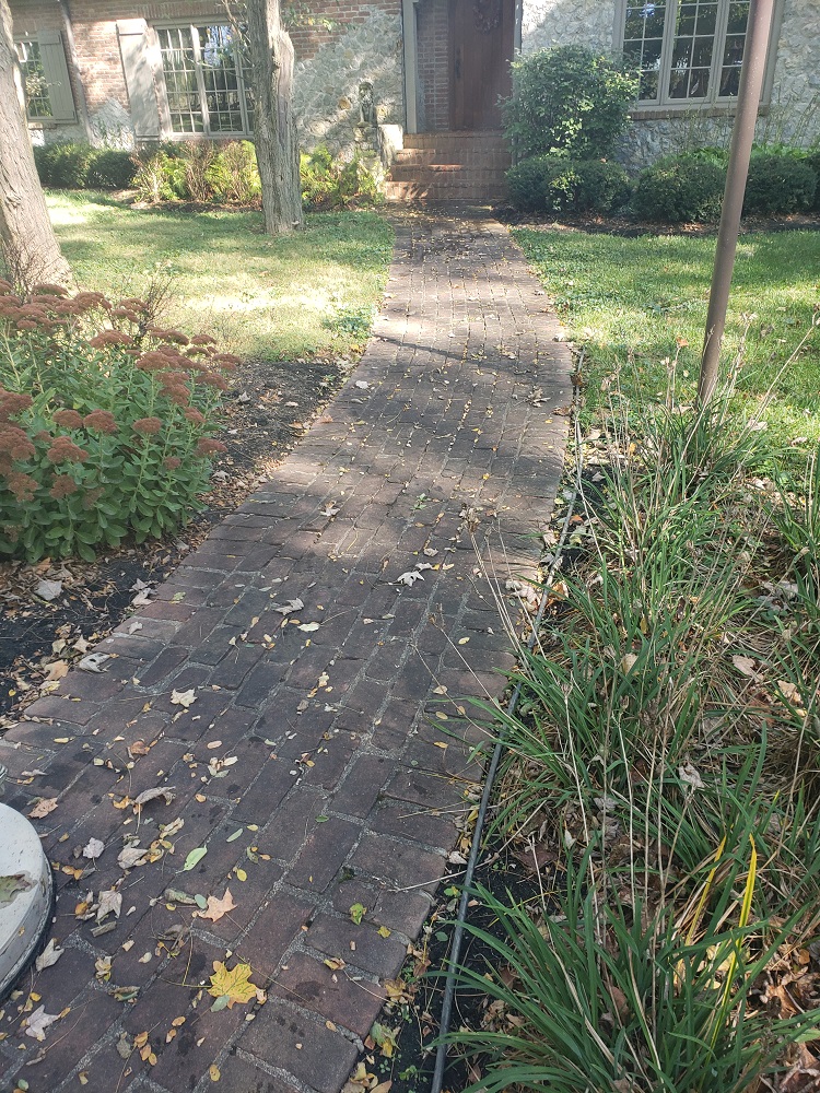 Before power washing brick sidewalk Image