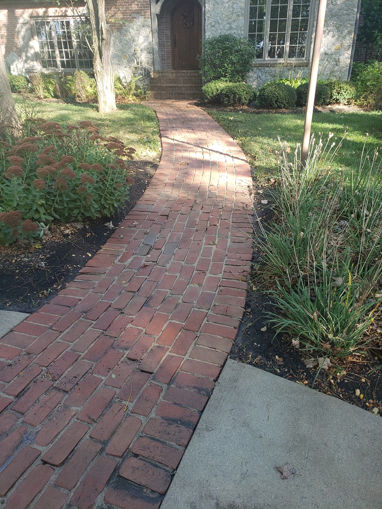 After power washing brick sidewalk Image