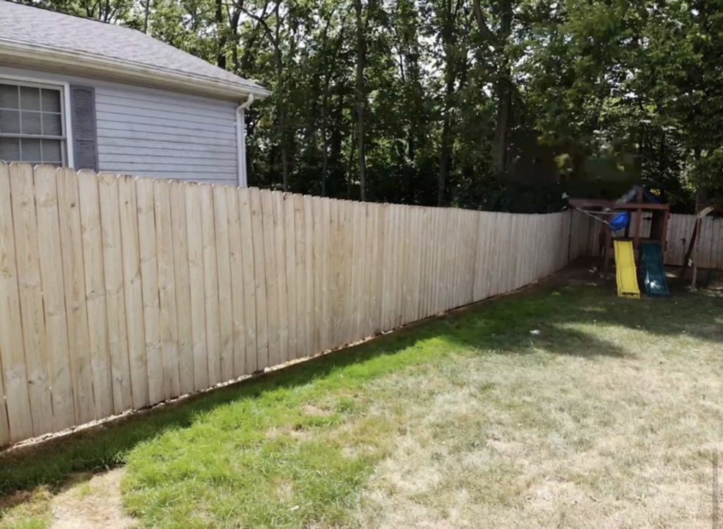 Fence Cleaning
